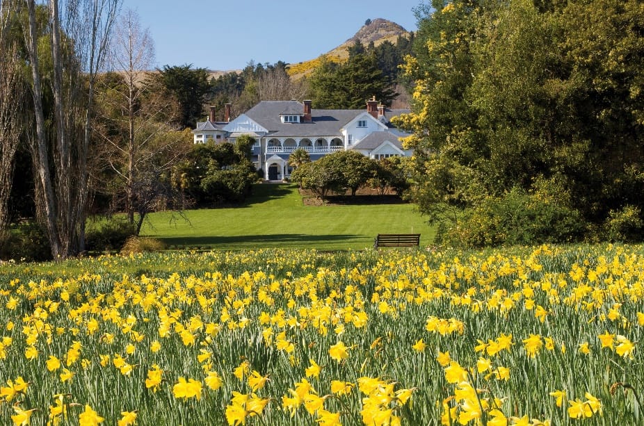 new-zealand-s-spring-months-set-a-unique-tone-for-enticing-outdoor